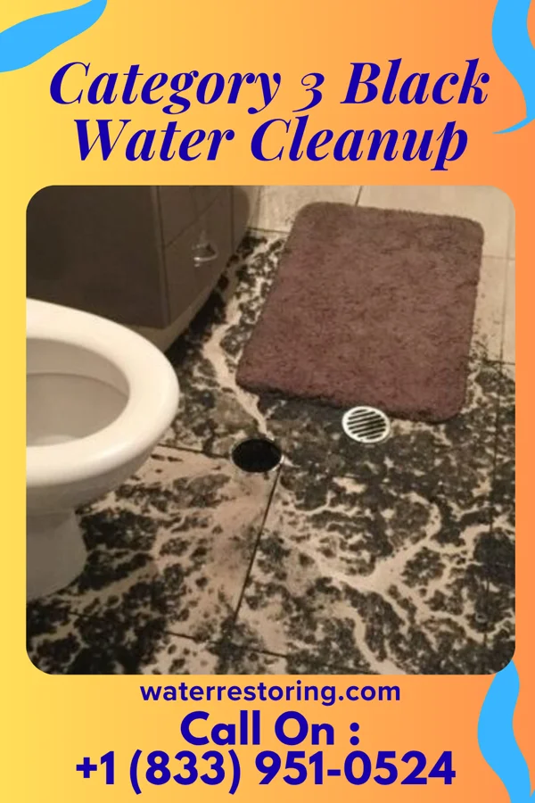Category 3 Black Water Cleanup in Brisbin, PA