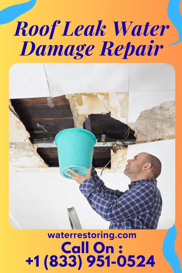 Roof Leak Water Damage Repair in Brisbin, PA