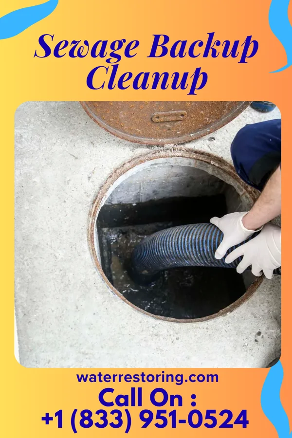 Sewage Backup Cleanup in Brisbin, PA