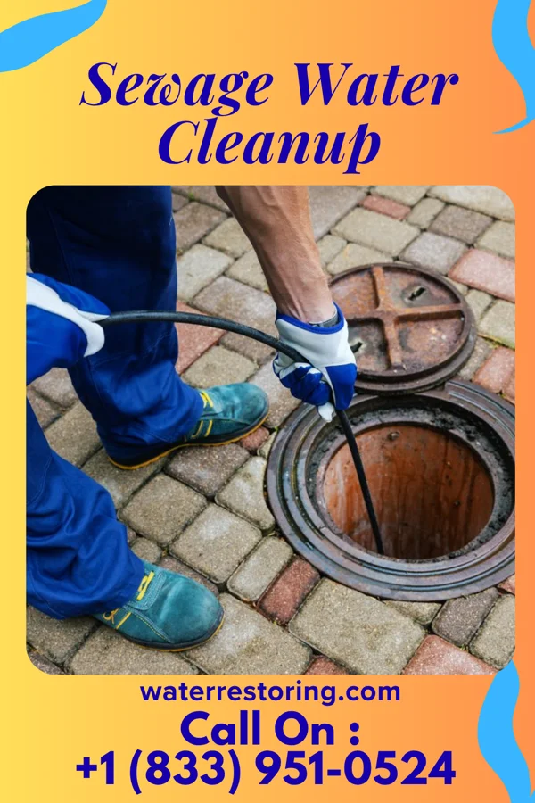 Sewage Water Cleanup in Brisbin, PA